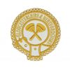 Mark Provincial Full Dress Apron Badge
