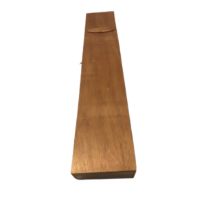 Wand Case